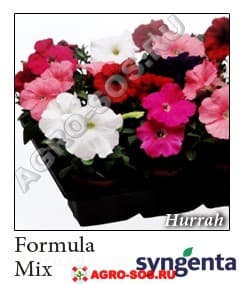 Петуния мультифлора F1 Hurrah ProFormula mix, Syngenta - 1000 шт (драже)