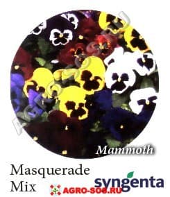 Виола Витрокка F1 Mammoth Masquerade Mix, Syngenta - 1000 семян