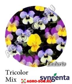 Виола рогатая F1 Endurio Tricolor Mix, Syngenta - 1000 семян