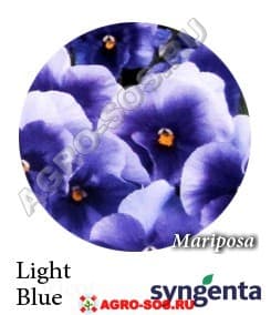 Виола Витрокка F1 Mariposa Light Blue, Syngenta - 1000 семян