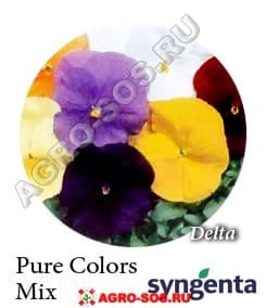 Виола Витрокка F1 Delta Premium Pure Colors Mix, Syngenta - 1000 семян