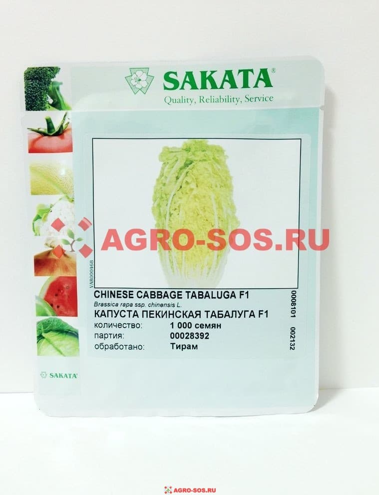 Капуста пекинская Табалуга, Sakata - 1000 семян