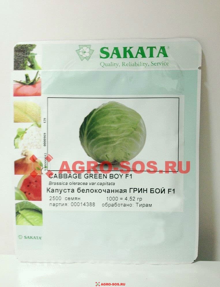Капуста б/к Грин Бой, Sakata - 2500 семян