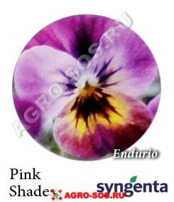 Виола рогатая F1 Endurio Pink Shades, Syngenta - 1000 семян