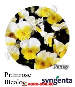 Виола рогатая F1 Penny Primrose Bicolor, Syngenta - 1000 семян