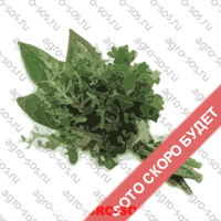 Семена Кервеля, Wing Seed - 1 кг