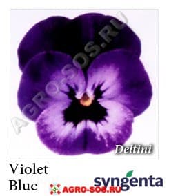 Виола рогатая F1 Deltini Violet Blue, Syngenta - 1000 семян
