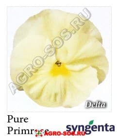 Виола Витрокка F1 Delta Premium Pure Primrose, Syngenta - 1000 семян