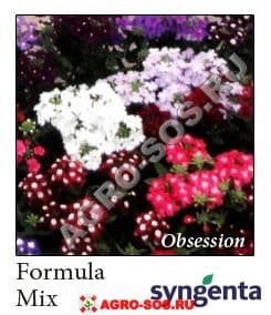 Вербена гибридная F1 Obsession Mix, Syngenta - 1000 шт