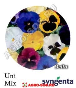 Виола Витрокка F1 Delta Uni Mix, Syngenta - 1000 семян
