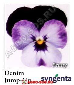 Виола рогатая F1 Penny Деним Jump-up, Syngenta - 1000 семян