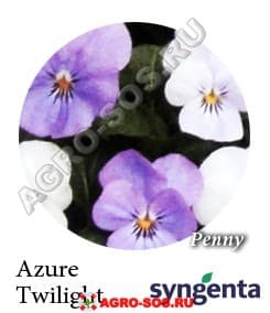 Виола рогатая F1 Пенни Азур Твилигт, Syngenta - 1000 семян