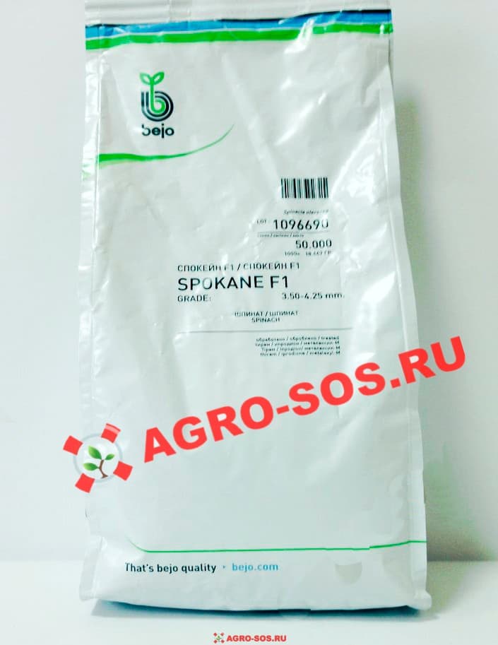 Шпинат Спокейн F1, Bejo - 50 000 шт