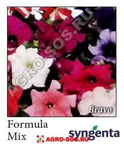 Петуния крупноцветковая F1 Bravo Mix, Syngenta - 1000 шт (драже)