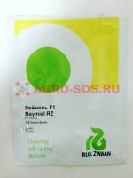 Дыня Реймель F1, Rijk Zwaan - 1000 шт