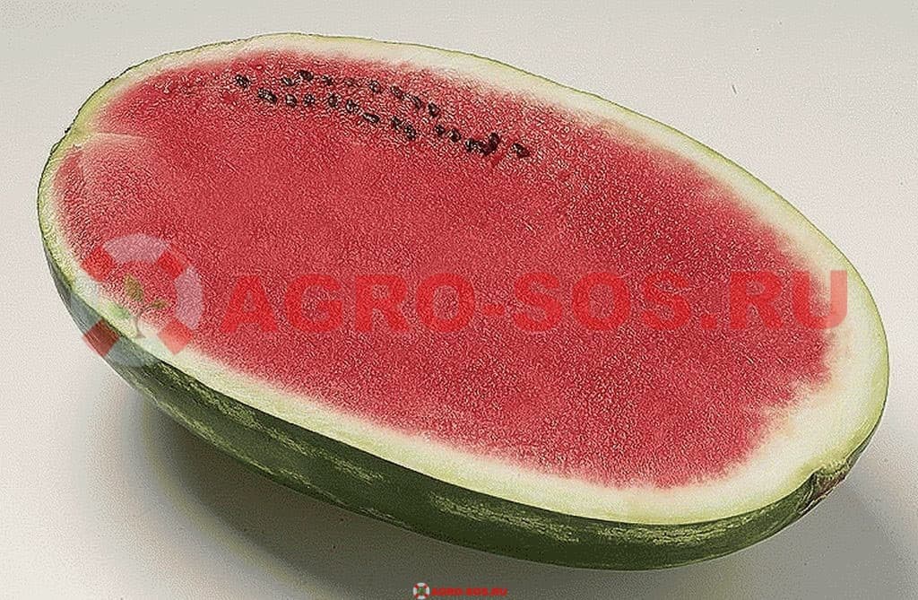 Арбуз Фарао F1, Syngenta - 1000 шт