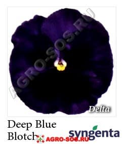 Виола Витрокка F1 Delta Premium Deep Blue with Blotch, Syngenta - 1000 семян