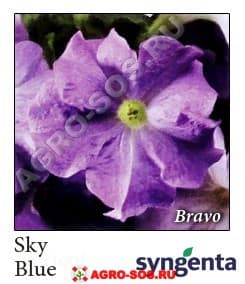 Петуния крупноцветковая F1 Bravo Sky Blue, Syngenta - 1000 шт (драже)