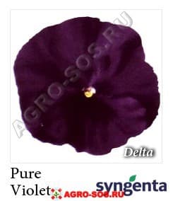 Виола Витрокка F1 Delta Premium Pure Violet, Syngenta - 1000 семян