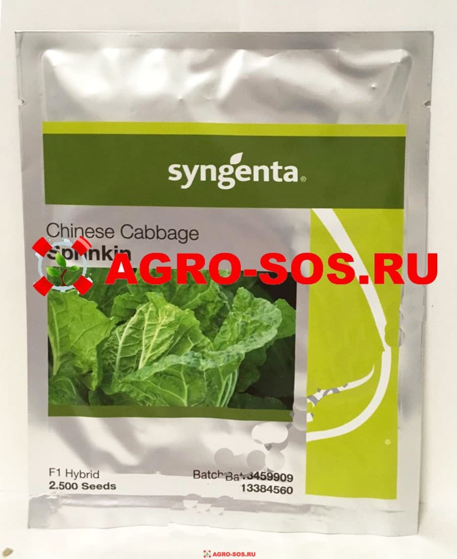Капуста пекинская Спринкин F1, Syngenta - 2500 шт