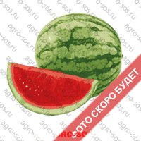 Арбуз Марибо, Wing Seed - 5000 семян